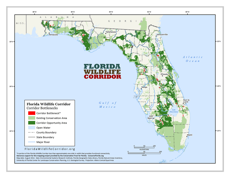 Illustration for article titled ​Florida Votes 'Yes' On Biggest Land Conservation Bill Ever